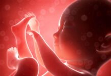 Alertness of baby in the womb