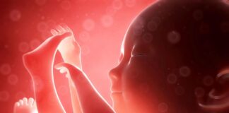 Alertness of baby in the womb