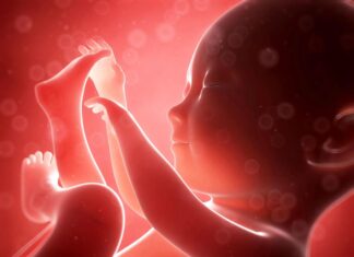 Alertness of baby in the womb