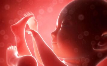 Alertness of baby in the womb